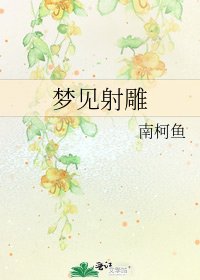 《夢見射鵰》