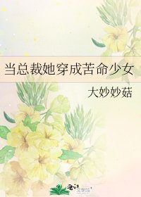《当总裁她穿成苦命少女》